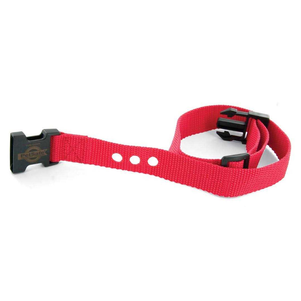 1 Inch Replacement Collar Strap E439