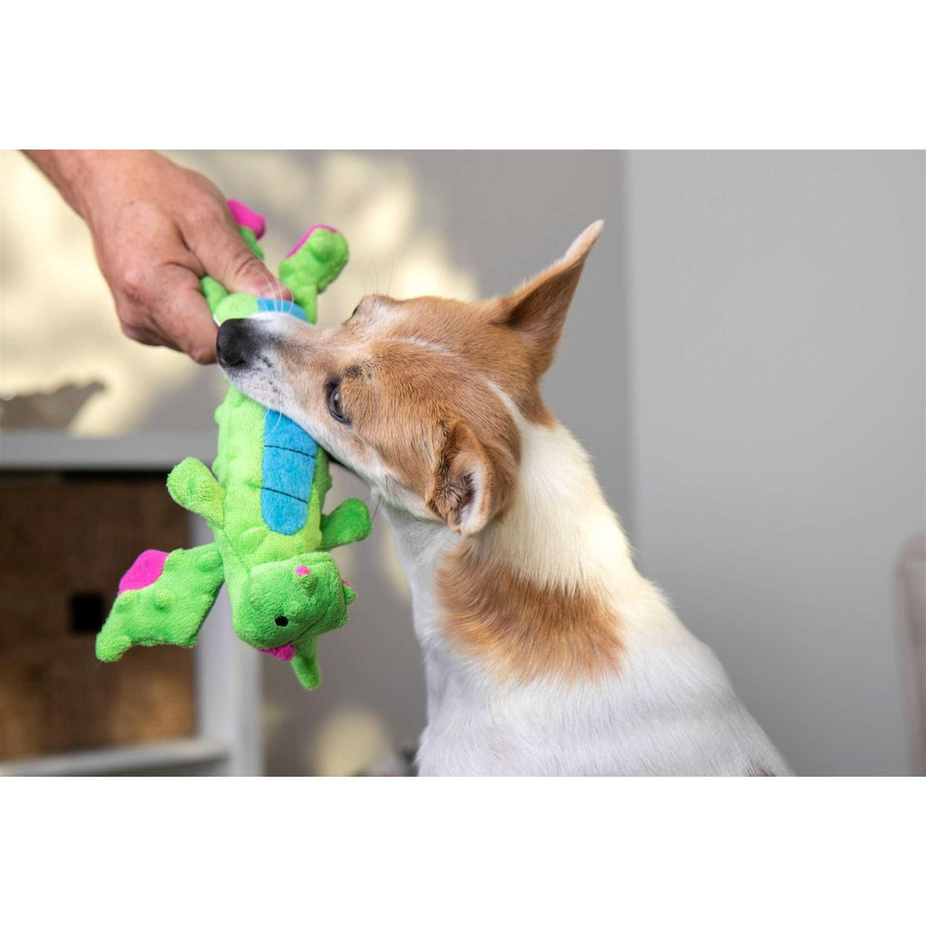 Dog Toy T4720